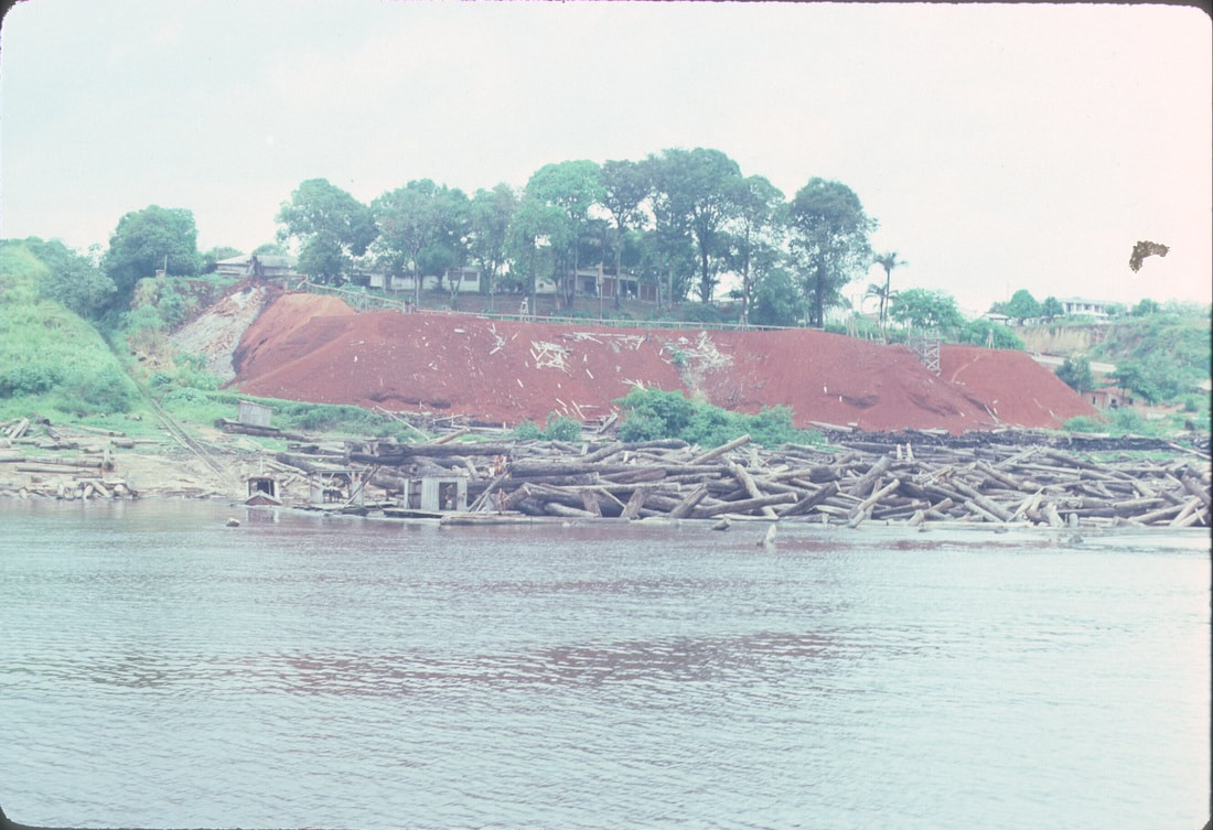 Clear-cut logging on the Amazon River, Brazil